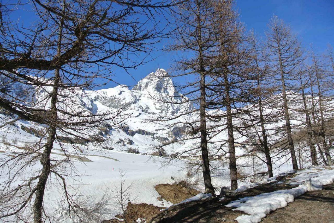 Complesso I Dadi - Residence Cielo Alto - Alberto 21 Breuil-Cervinia Exteriér fotografie